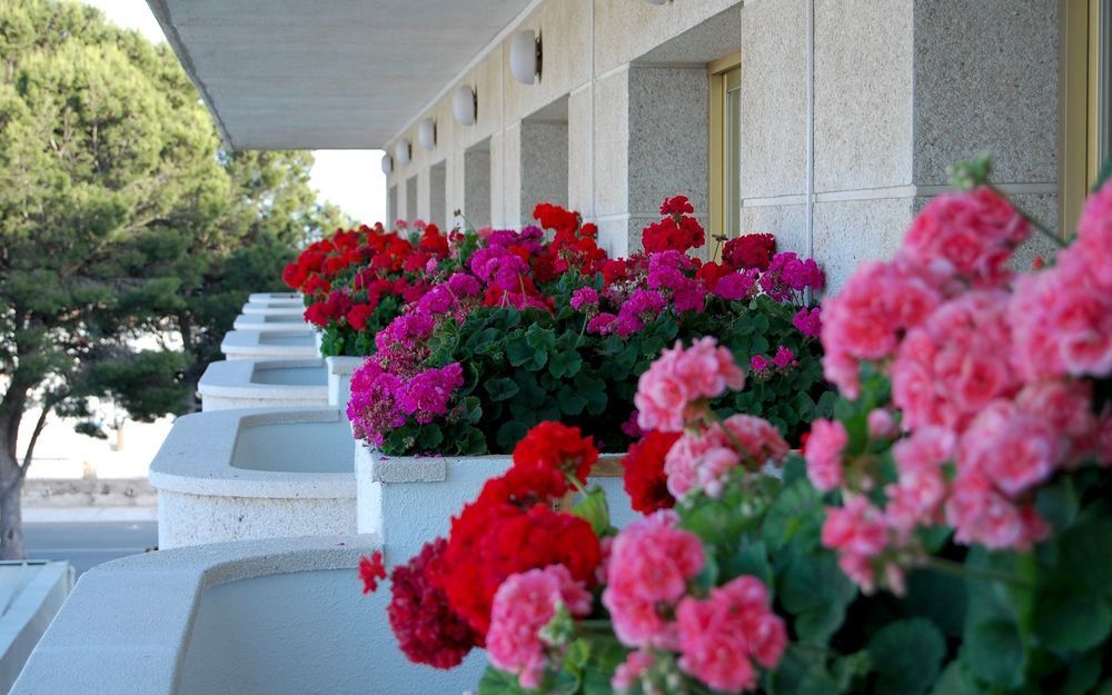 4R Meridià Mar L'L'Hospitalet de l'Infant Extérieur photo